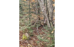 Foothills Drive lot: 20-R, Jay, VT 05859