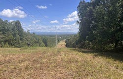 175 SHADY HOLLOW ROAD, EASTABOGA, AL 36260