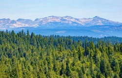 TBD Starkes Grade Road, Pollock Pines, CA 95726