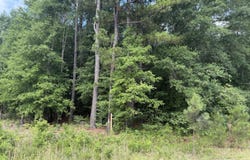 Norway Road, Orangeburg, SC 29115