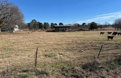 50 Taylor Circle, Conway, AR 72032