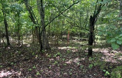 006-02993-000 HWY 178, Lakeview, AR 72642