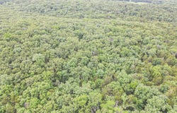 Highway 54, Preston, MO 65732