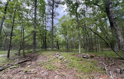 Tbd Ny-28a, West Hurley, NY 12491