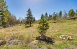 Morell Road, McCall, ID 83638