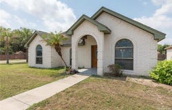 1502 Mourning Dove Lane, Palmview, TX 78572