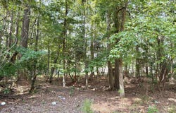2206 Nelson Street, New Bern, NC 28562