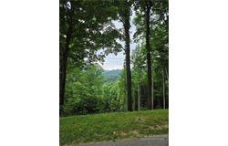 Bear Paw Road lot: C10, Elk Park, NC 28622
