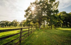 576 Trappey Road, Carencro, LA 70520
