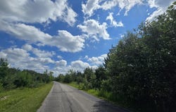 off McCollum Lake Road, Curran, MI 48728