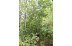 412 Sells Court, Pelion, SC 29123-0000