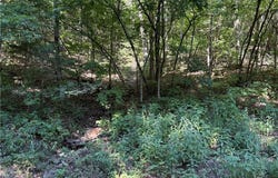 CR 995  RD, Green Forest, AR 72638