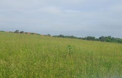 Lot 5 Valley Home Road, Dandridge, TN 37725