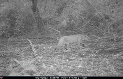 0 Sands Creek Rd., Hancock, NY 13783