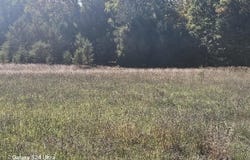 N 11 Mile Road, Irons, MI 49644