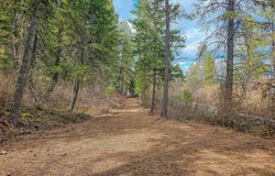 NKA E Deer Park Milan Rd, WA 99003