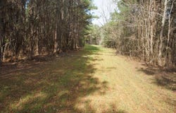 0 Burroughs Road, Greensboro, AL 36744
