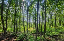 28017 303rd Place, Aitkin, MN 56431