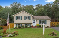 8767 COLD PLAIN COURT, SPRINGFIELD, VA 22153