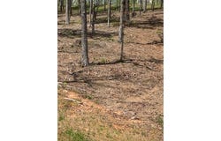 Lot #6 Lake Top Lane, Ellijay, GA 30540