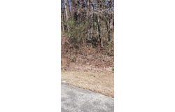3452 Tiffany Cove Drive, Loganville, GA 30052