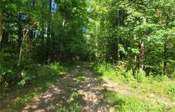 103 Torre Pellice Street SE, Valdese, NC 28690