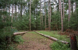 W1519 Rainbow Lane lot: 3 & 4, Wisconsin Dells, WI 53965