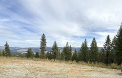 4 LAKEVIEW Dr, REPUBLIC, WA 99166