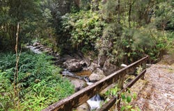 Ookala, HI 96774