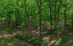 Lot 1169,1143 Elliott Place, Edwards, MO 65329