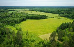 Angora, MN 55703
