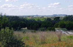 Lot 4 County Road 1255, Lampasas, TX 76550