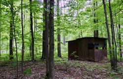 V/L Roseburgh, Alger, MI 48610