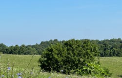 Tracts: 16,17,18,19, 22, 23 Statham RD, Liberty, KY 42539