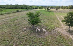 Tbd Watterson RD, Red Rock, TX 78662