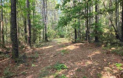 0 Lowery Road, Atmore, AL 36502