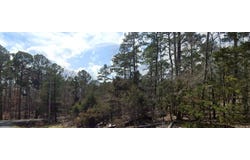 Genie lot: 29, Edgemont, AR 72044