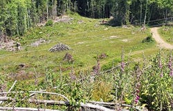 318-A Upper Naselle Road, Naselle, WA 98638