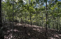 1407 Foxhound Trail, Ranger, GA 30734