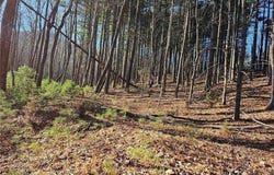 Lot 82 Mcintosh Drive, Lowgap, NC 27024