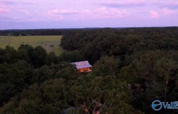 262 County Road 664, Coffee Springs, AL 36318