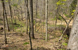 000 Martha Stockton Road, Albany, KY 42602