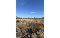 1031 Scott S Store (60 Acres), Millen, GA 30442