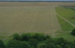 Tbd - Tract 11 CR 151, Riesel, TX 76682