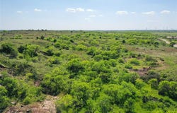 48 Acres Bowen Loop, Jacksboro, TX 76365