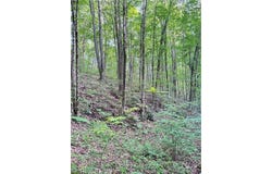 50530 Wargo Road, Caldwell, OH 43724