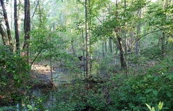 0 Kings Mill Road Tract B, Wrens, GA 30833