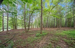 14880 Freemanville Road, Milton, GA 30004