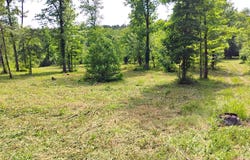 Tract 1 Kulp Road, Boles, AR 72926