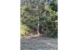 0 Bowers Street, Bowman, GA 30624